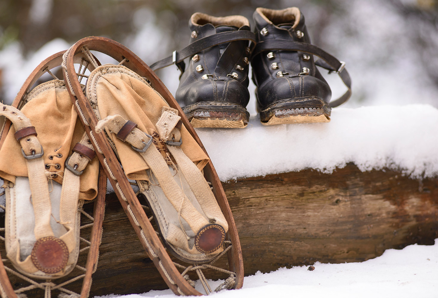 alte-schneeschuhe.jpg